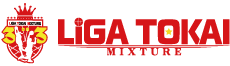 LIGA TOKAI 3on3 MIXTURE 3rd define